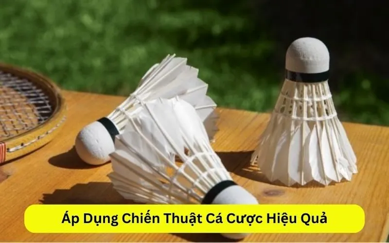 Áp Dụng Chiến Thuật Cá Cược Hiệu Quả