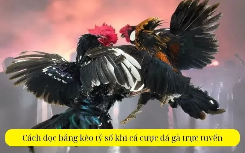 Cách đọc bảng kèo tỷ số khi cá cược đá gà trực tuyến
