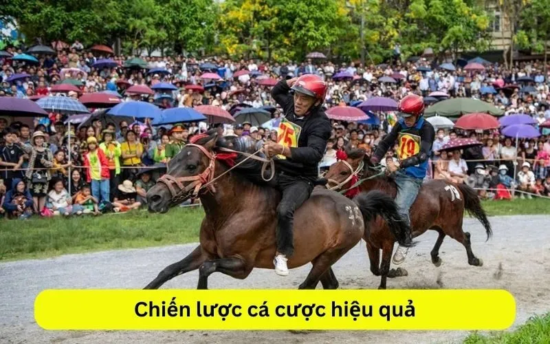 Chiến lược cá cược hiệu quả