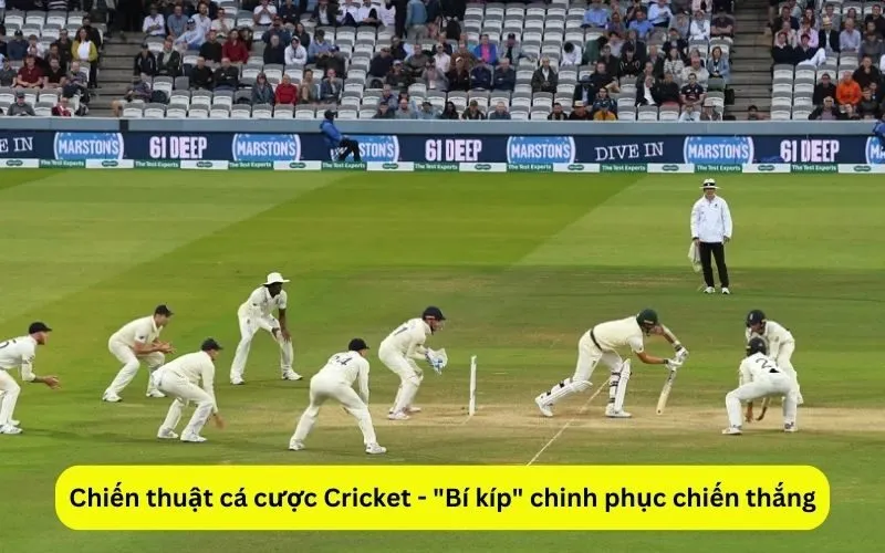 Chiến thuật cá cược Cricket - Bí kíp chinh phục chiến thắng