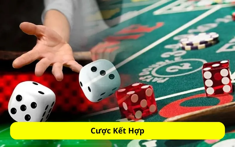 Cược Kết Hợp