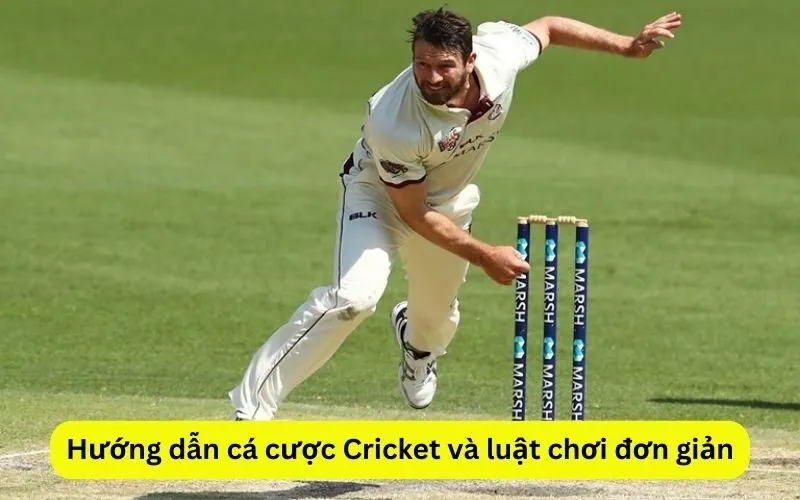 huong-dan-ca-cuoc-cricket-va-luat-choi-don-gian