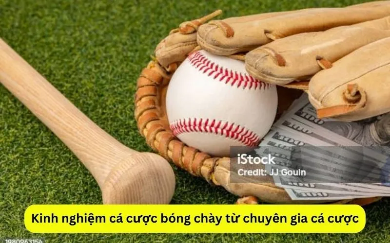 Kinh nghiệm cá cược bóng chày từ chuyên gia cá cược