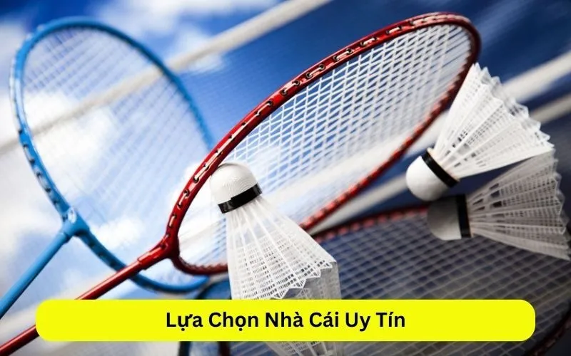 Lựa Chọn Nhà Cái Uy Tín 