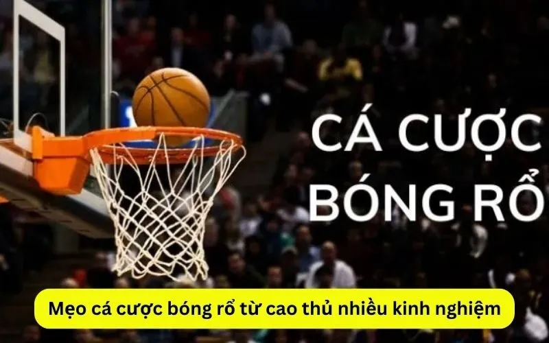 Mẹo cá cược bóng rổ từ cao thủ nhiều kinh nghiệm