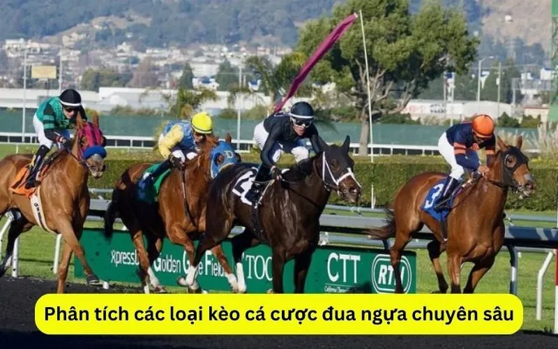 Phân tích các loại kèo cá cược đua ngựa chuyên sâu