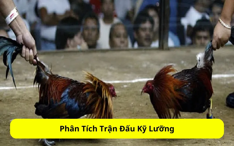 Phân Tích Trận Đấu Kỹ Lưỡng