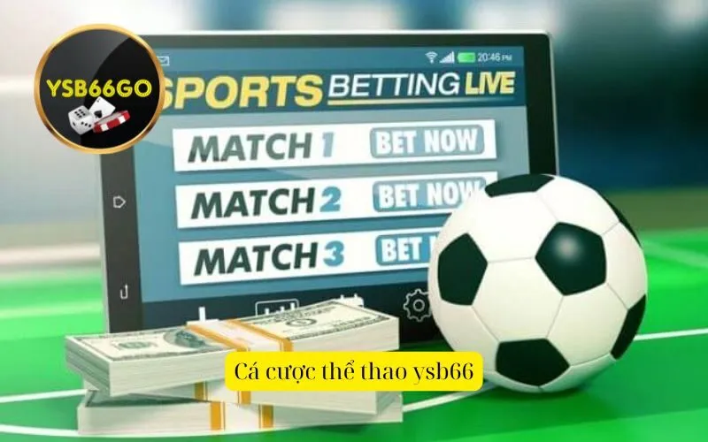 Cá cược thể thao ysb66