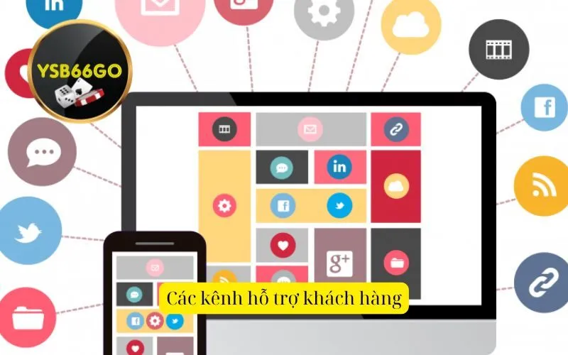 Các kênh hỗ trợ khách hàng