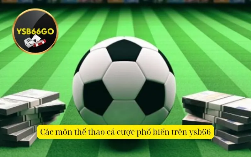 Các môn thể thao cá cược phổ biến trên ysb66